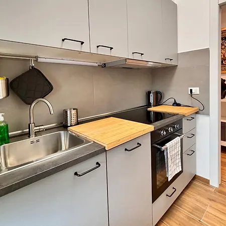 公寓 Modern Renovated Near Center & Transit *